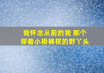 我怀念从前的我 那个穿着小褂裤衩的野丫头